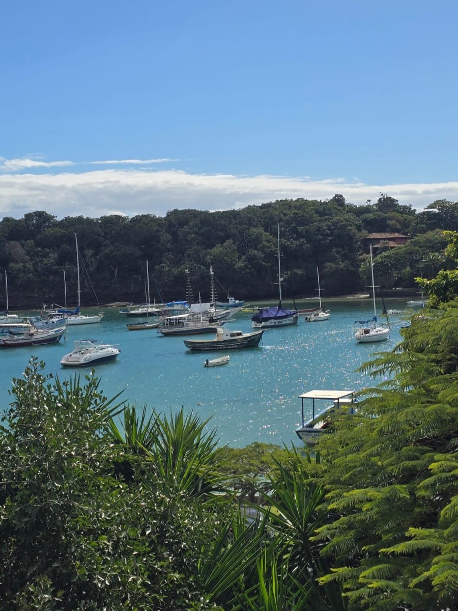 Boats in a forested harbor